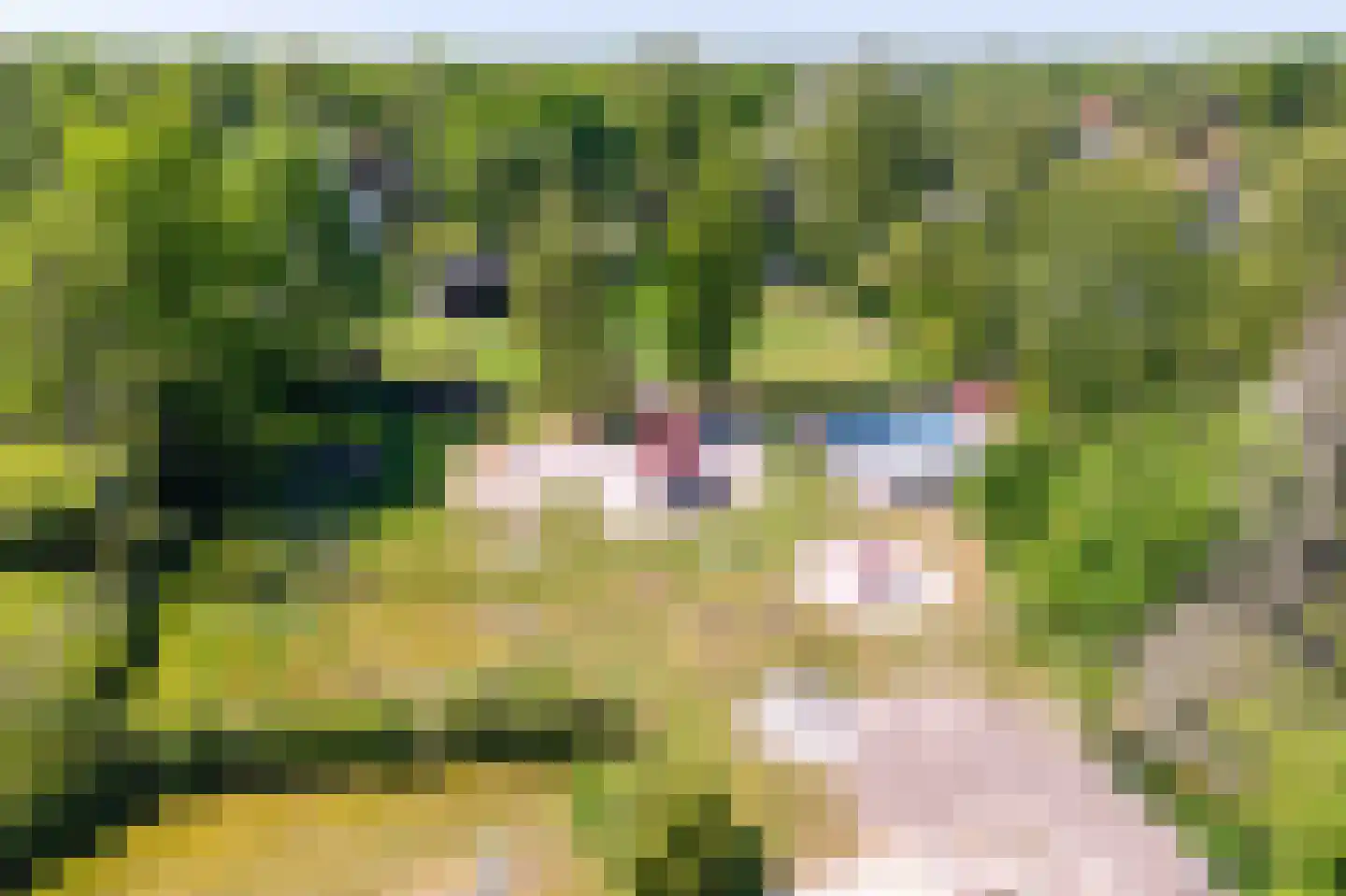 Het Bosmeer 2 Noordwolde thumbnail 30