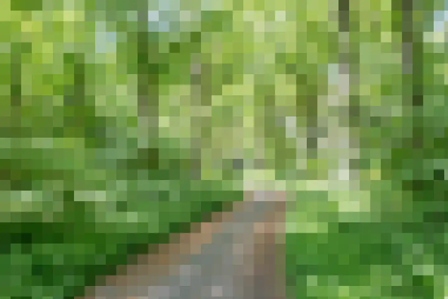 Het Bosmeer 2 Noordwolde thumbnail 31