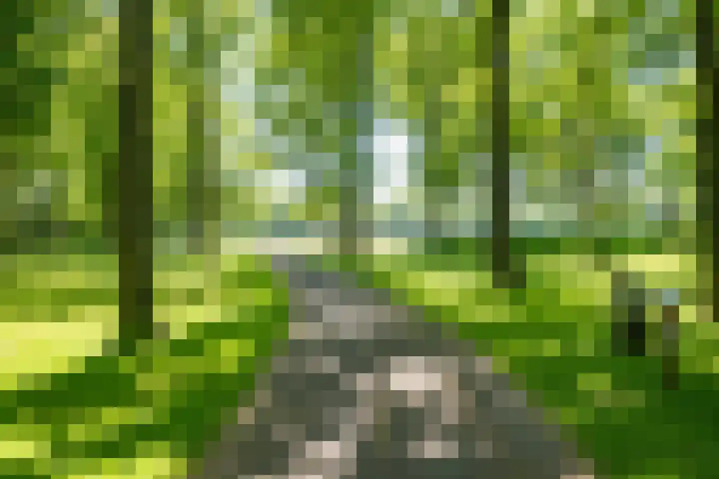 Het Bosmeer 2 Noordwolde thumbnail 37