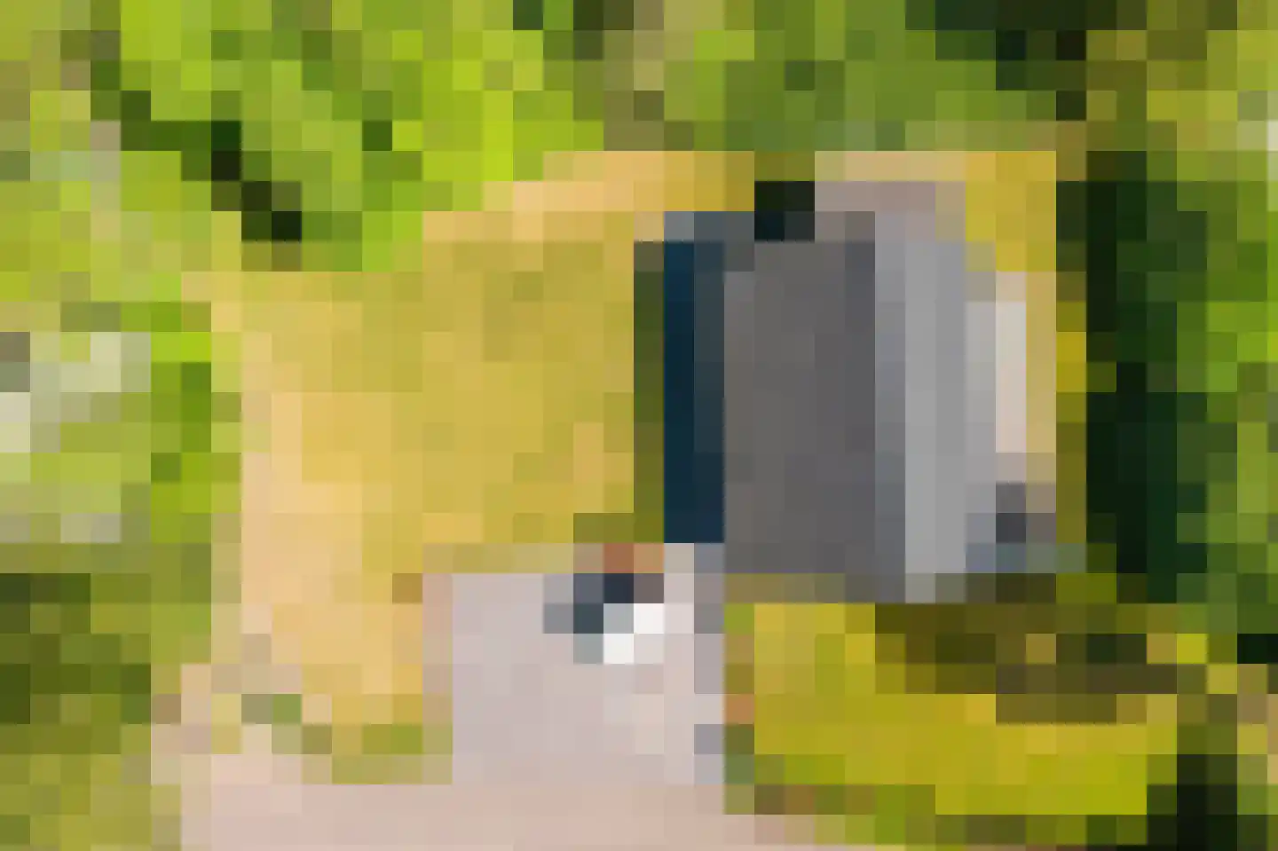 Het Bosmeer 2 Noordwolde thumbnail 6