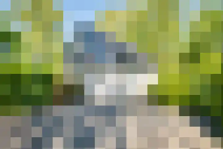 Het Bosmeer 41 Noordwolde foto 2