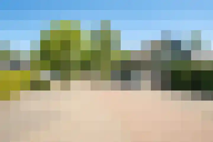 Het Bosmeer 41 Noordwolde thumbnail 28