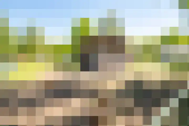 Het Bosmeer 41 Noordwolde thumbnail 31