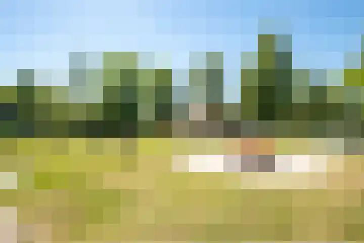 Het Bosmeer 41 Noordwolde thumbnail 34