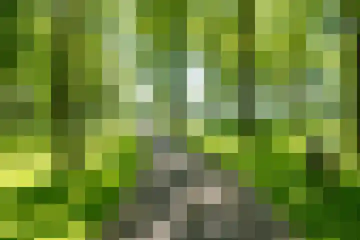Het Bosmeer 41 Noordwolde thumbnail 37
