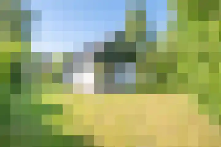 Het Bosmeer 41 Noordwolde thumbnail 4