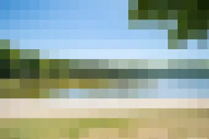 Het Bosmeer 41 Noordwolde thumbnail 40