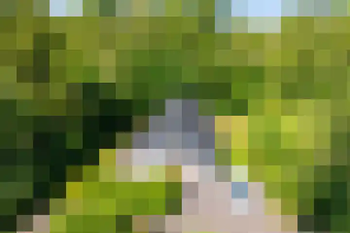 Het Bosmeer 41 Noordwolde thumbnail 45