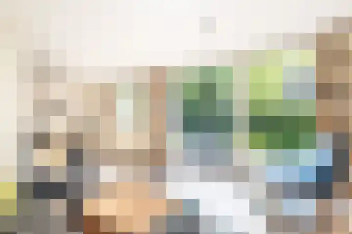 Het Bosmeer 5 Noordwolde thumbnail 13