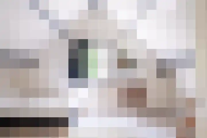 Het Bosmeer 5 Noordwolde thumbnail 17