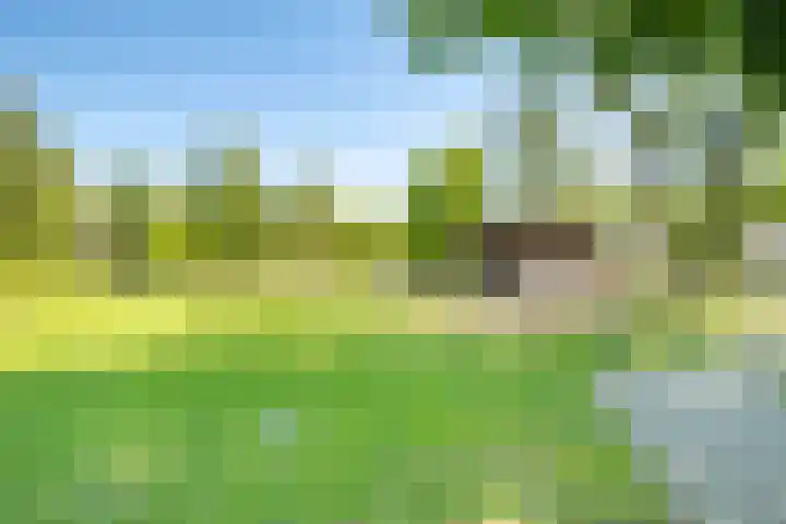 Het Bosmeer 5 Noordwolde thumbnail 25