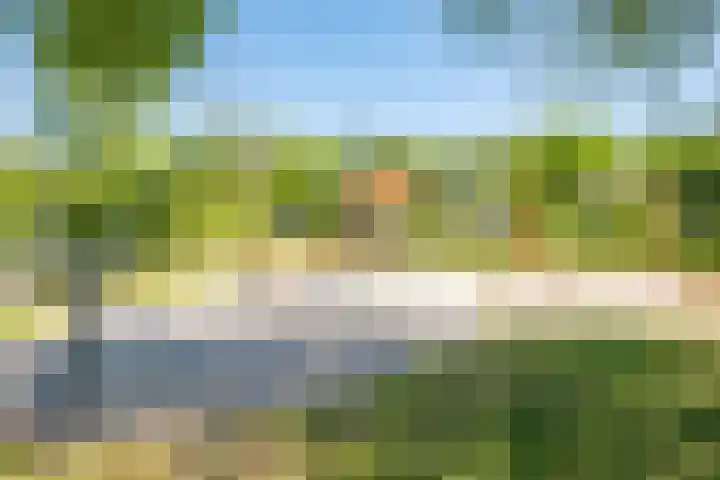Het Bosmeer 5 Noordwolde thumbnail 27
