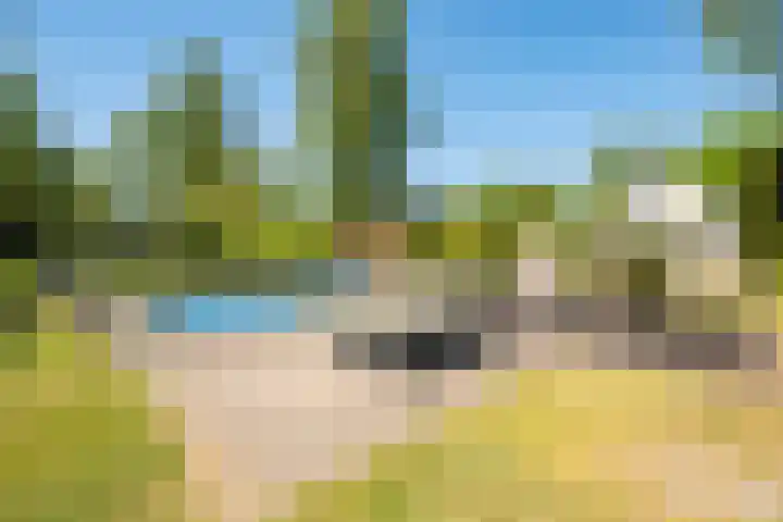 Het Bosmeer 5 Noordwolde thumbnail 28