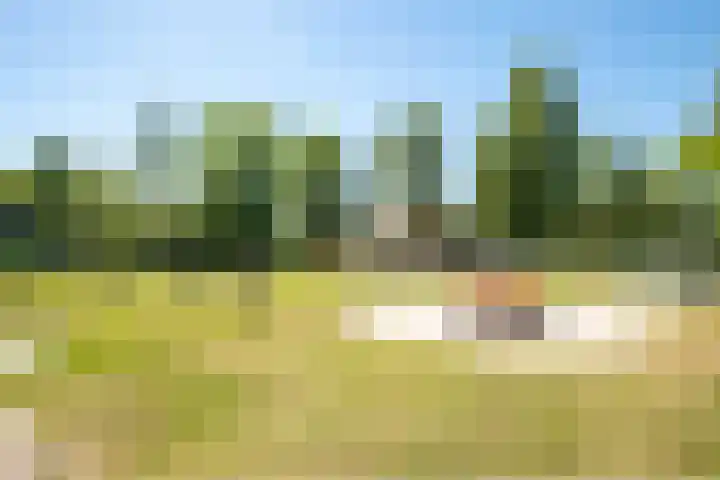Het Bosmeer 5 Noordwolde thumbnail 29