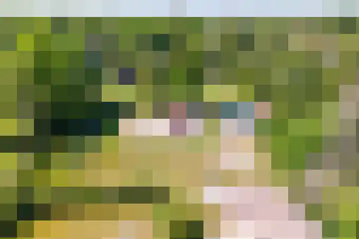 Het Bosmeer 5 Noordwolde thumbnail 30