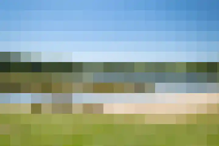 Het Bosmeer 5 Noordwolde thumbnail 33