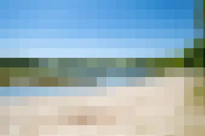 Het Bosmeer 5 Noordwolde thumbnail 34