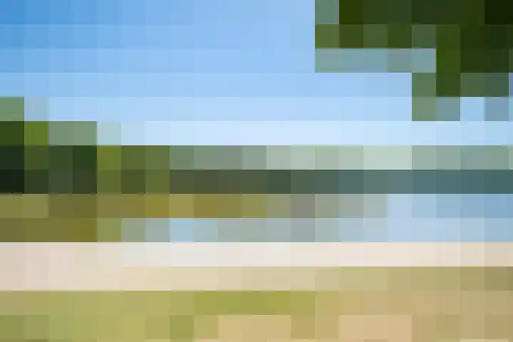 Het Bosmeer 5 Noordwolde thumbnail 35