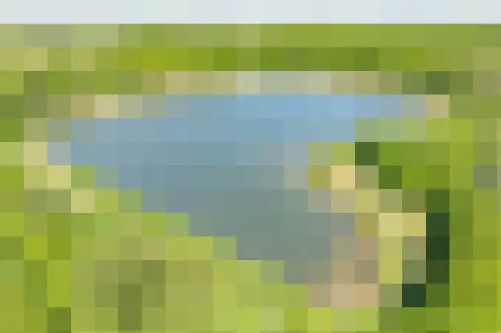 Het Bosmeer 5 Noordwolde thumbnail 36