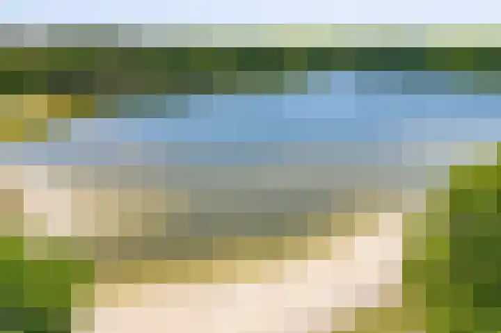 Het Bosmeer 5 Noordwolde thumbnail 38