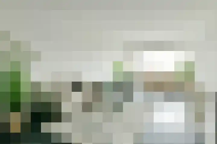 Het Breed 543 Amsterdam foto 3