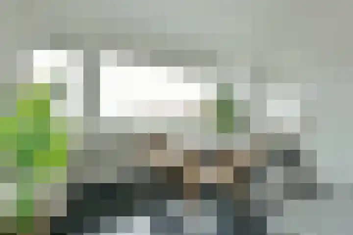 Het Breed 543 Amsterdam thumbnail 4