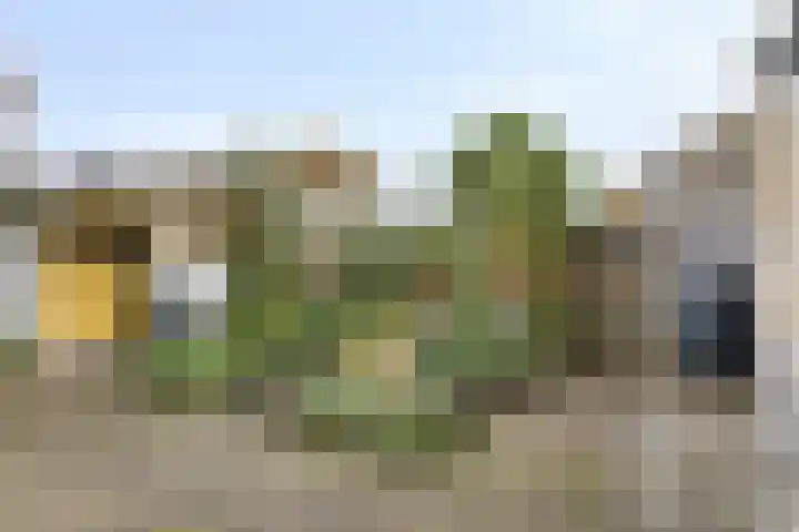 Het Brook 29 Lichtenvoorde thumbnail 33