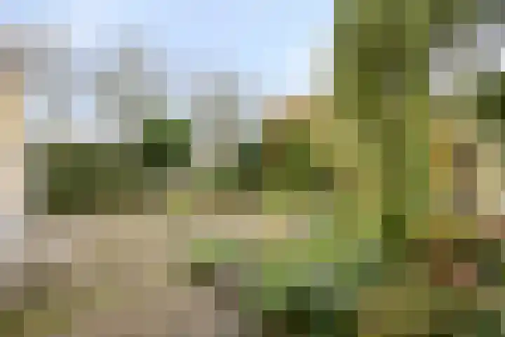 Het Brook 29 Lichtenvoorde thumbnail 34