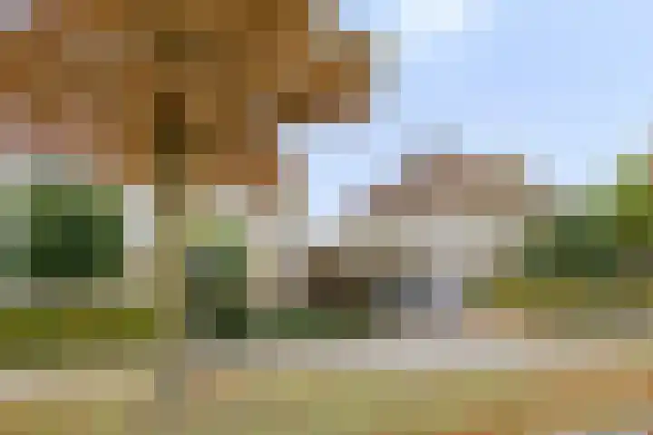 Het Brook 29 Lichtenvoorde thumbnail 5