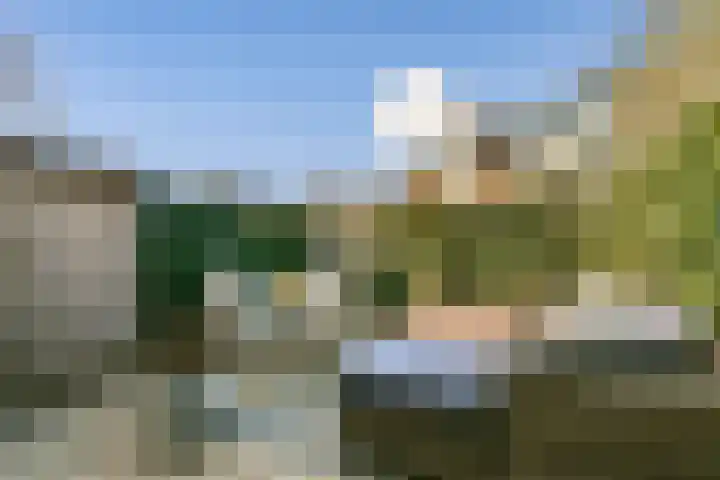 Het Buitenhof 5 Weesp thumbnail 11