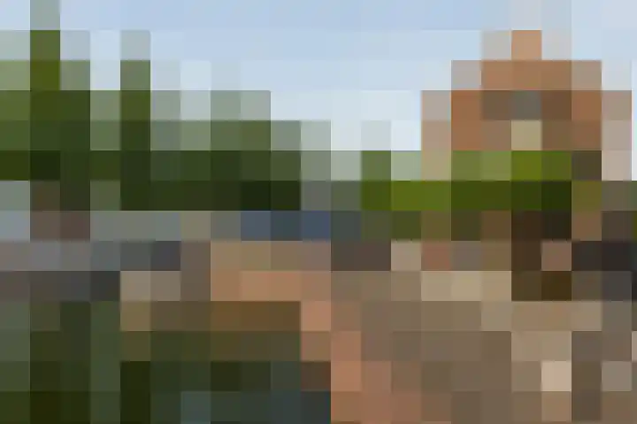 Het Buitenhof 5 Weesp thumbnail 27