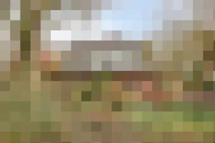 Het Burkink 2 Warnsveld thumbnail 4