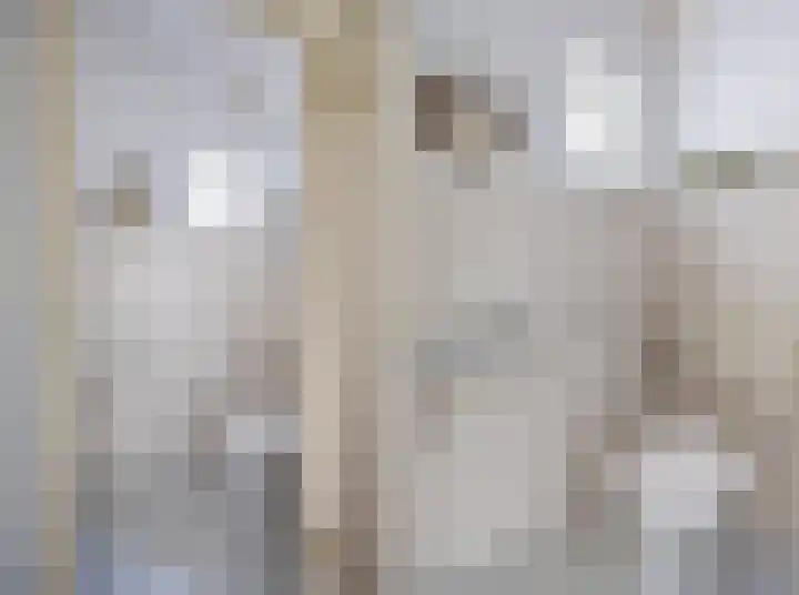 het Buske 23 Helmond thumbnail 10