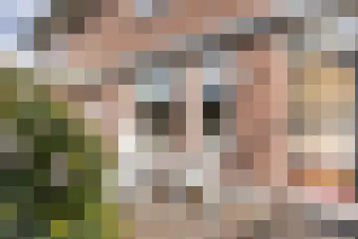 het Buske 23 Helmond thumbnail 43