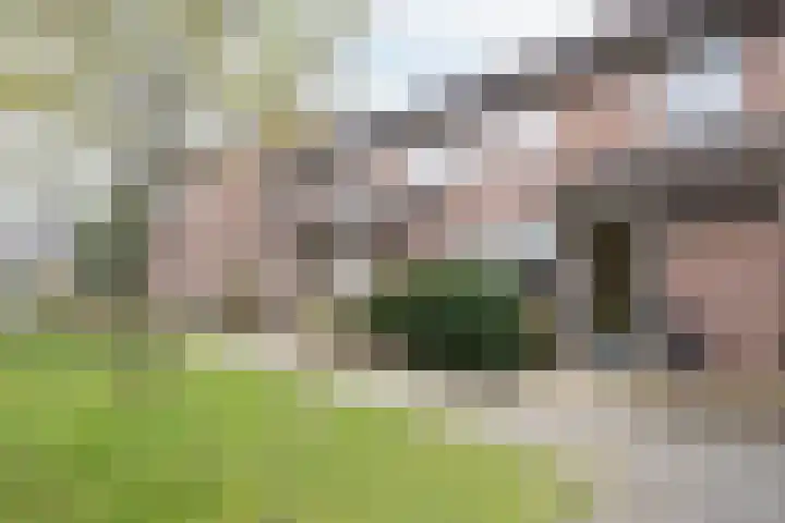 het Buske 23 Helmond thumbnail 47