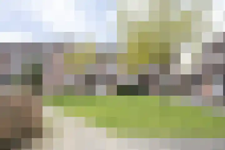 het Buske 23 Helmond thumbnail 48