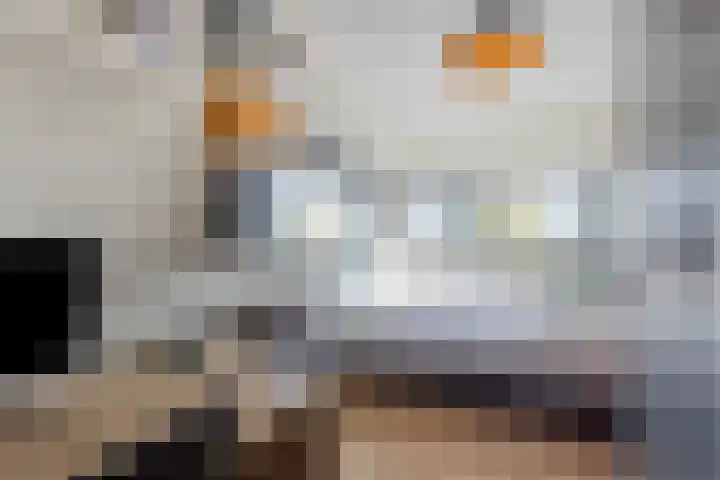 Het Buske 71 Lent thumbnail 25