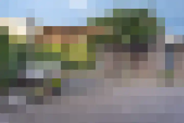 Het Buske 71 Lent thumbnail 33