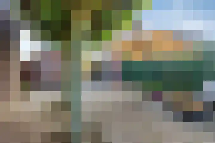 Het Buske 71 Lent thumbnail 35