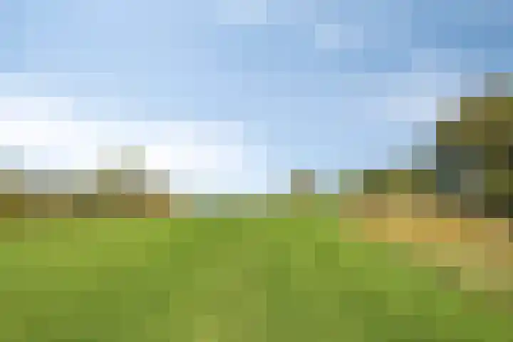 Het Buske 71 Lent thumbnail 41