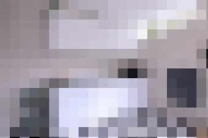 Het Bussink 11 Epse thumbnail 8