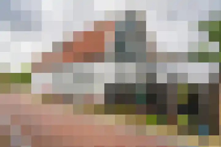 Het Buurtje 1 Oudeschild