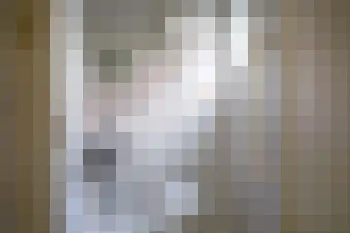 Het Buurtje 14 Oudeschild thumbnail 13