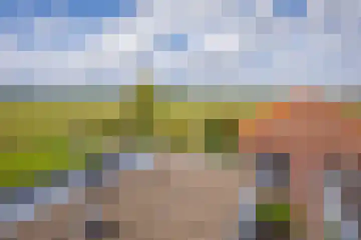 Het Buurtje 14 Oudeschild thumbnail 22