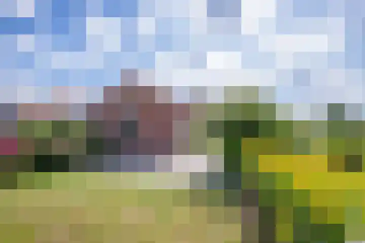 Het Buurtje 14 Oudeschild thumbnail 32