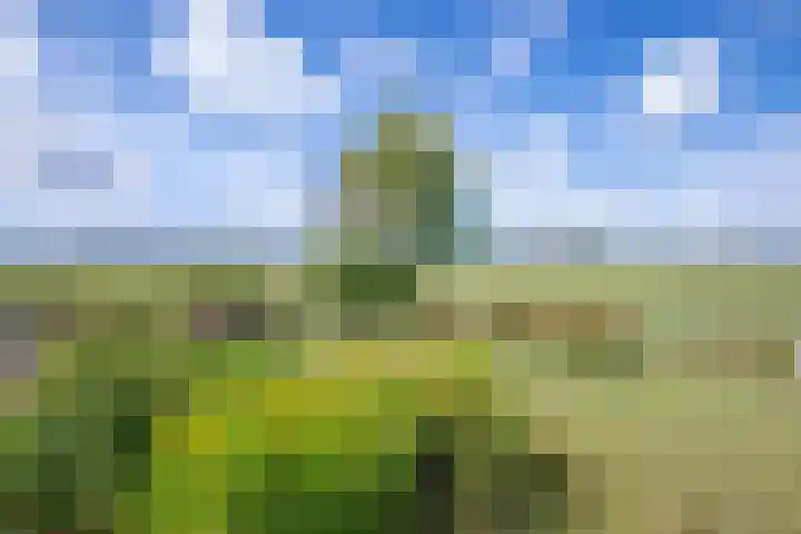 Het Buurtje 14 Oudeschild thumbnail 34