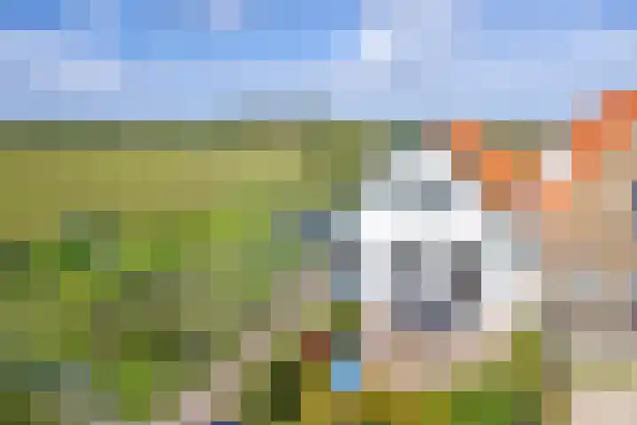 Het Buurtje 14 Oudeschild thumbnail 35