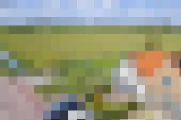 Het Buurtje 14 Oudeschild thumbnail 37