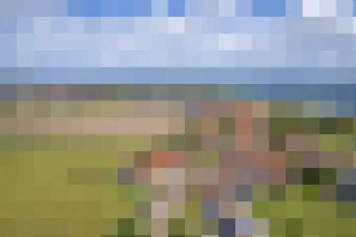 Het Buurtje 14 Oudeschild thumbnail 38