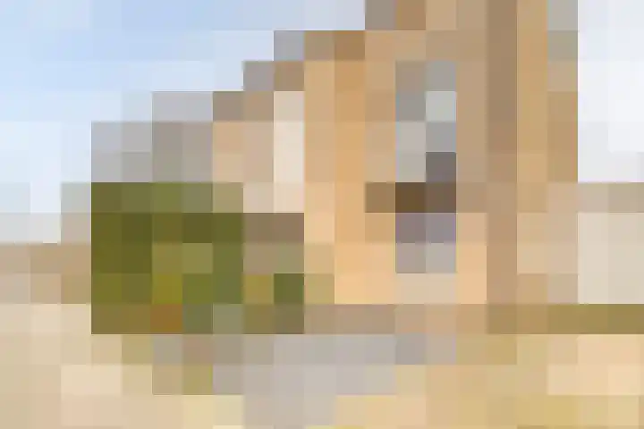 Het Dagwerk 14 Dronten thumbnail 30